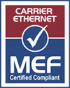 Медиаконвертеры Fast Ethernet с удаленным управлением