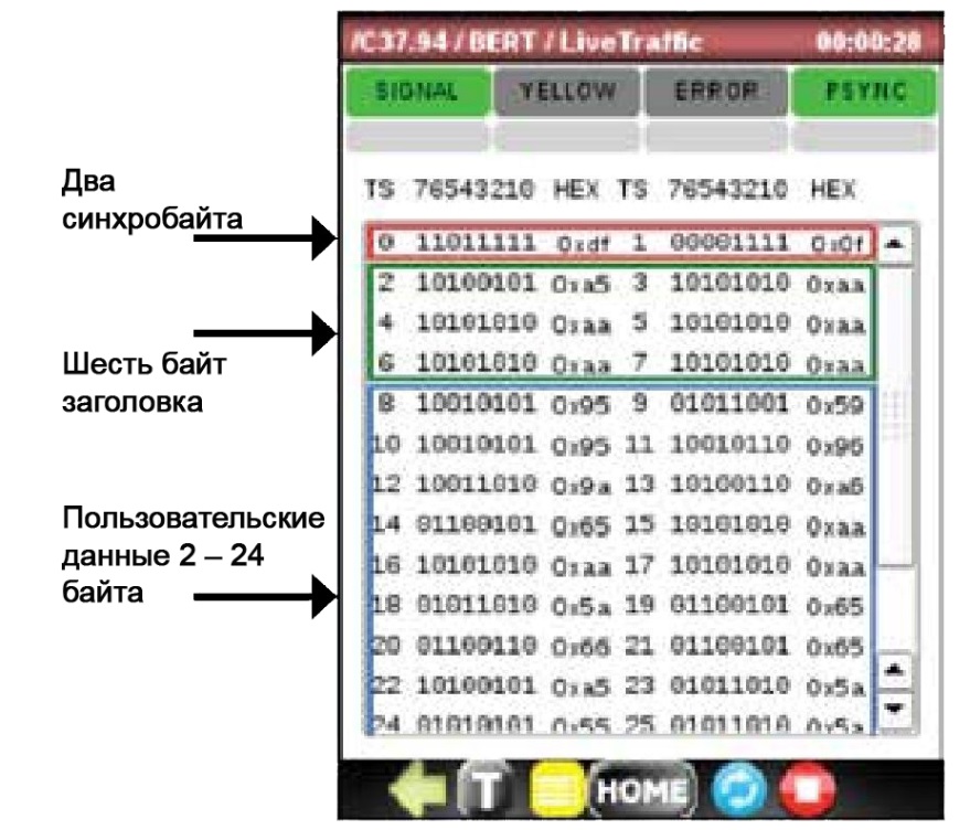 Анализатор IEEE C37.94 DataScout 1G позволяет провести детальный мониторинг всего трафика.