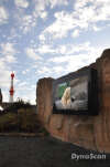 gallery_p142966_5.jpg