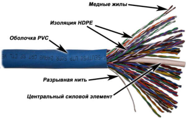 TWT-5EUTP50 - кабель "витая пара" неэкранированный (UTP), 50 пар, кат.5e, PVC, синий