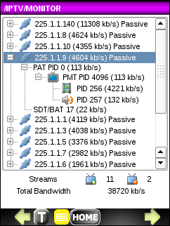 Результаты измерения IPTV в режиме мониторинга: дерево с информацией о номерах PID внутри потока