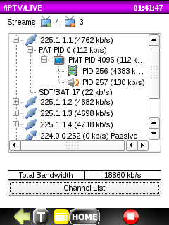 Пример дерева с информацией о номерах PID внутри потока IPTV